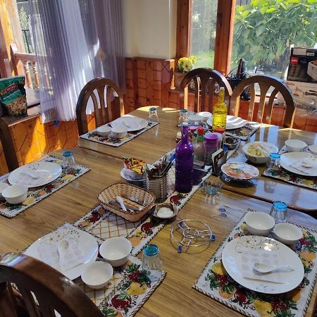 Aroma Taru Villa / Cottage ,Manali Εξωτερικό φωτογραφία