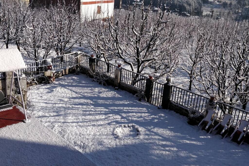 Aroma Taru Villa / Cottage ,Manali Εξωτερικό φωτογραφία