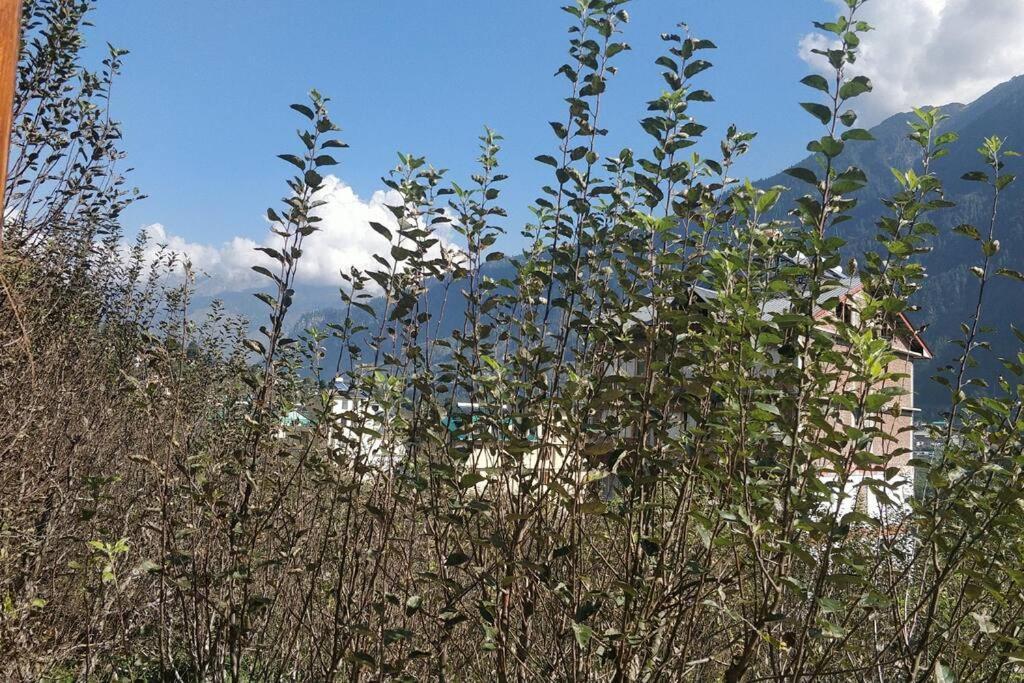 Aroma Taru Villa / Cottage ,Manali Εξωτερικό φωτογραφία