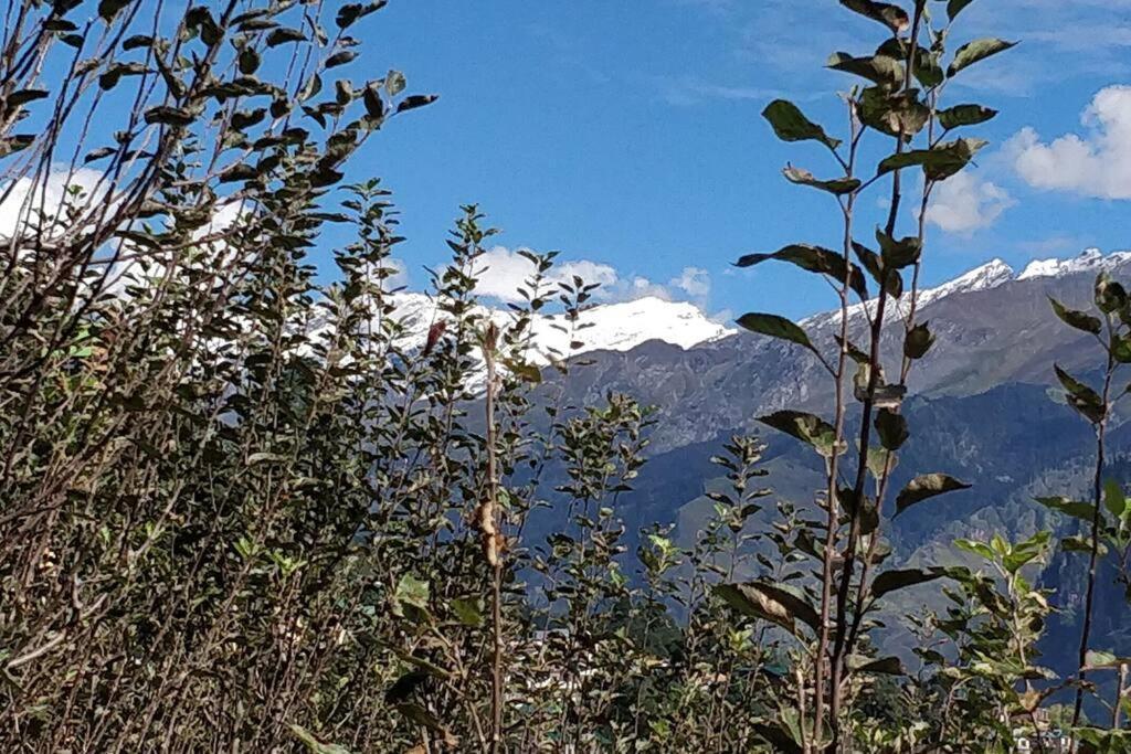 Aroma Taru Villa / Cottage ,Manali Εξωτερικό φωτογραφία