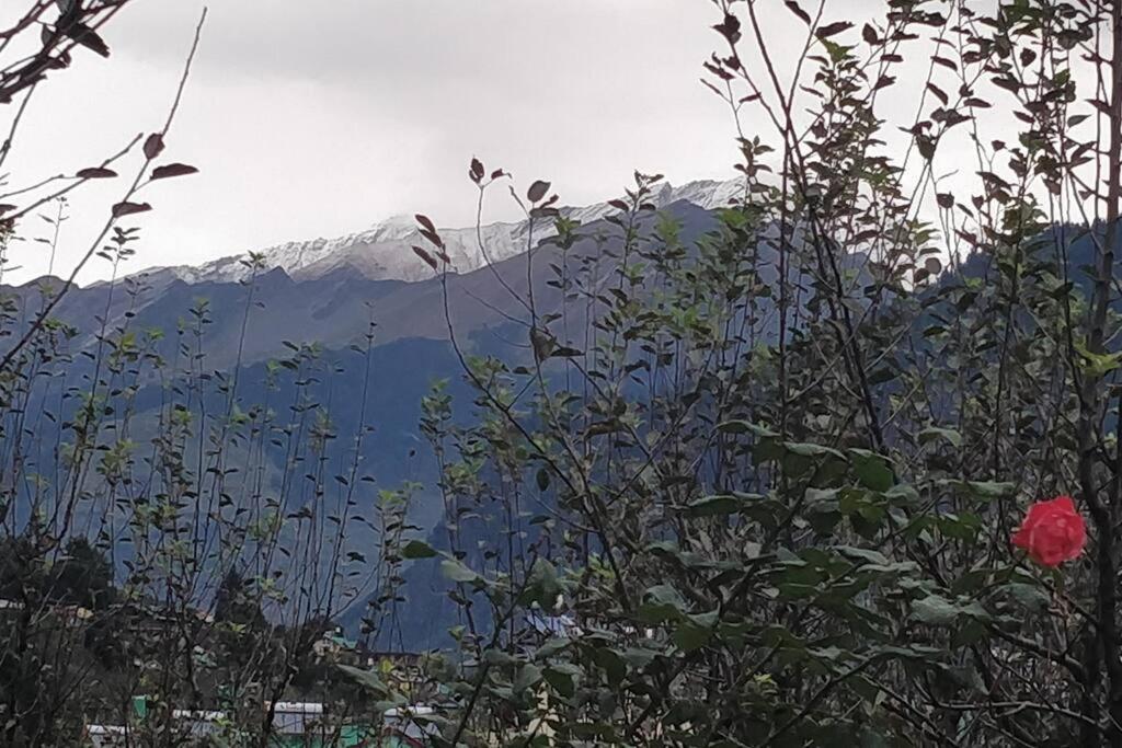 Aroma Taru Villa / Cottage ,Manali Εξωτερικό φωτογραφία